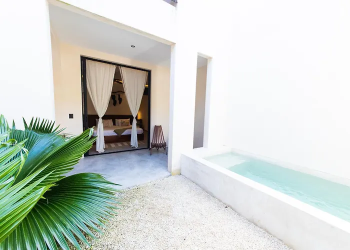 Tierra - Pool & Roof Panoramic Tulum