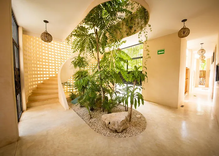 Tierra - Pool & Roof Panoramic