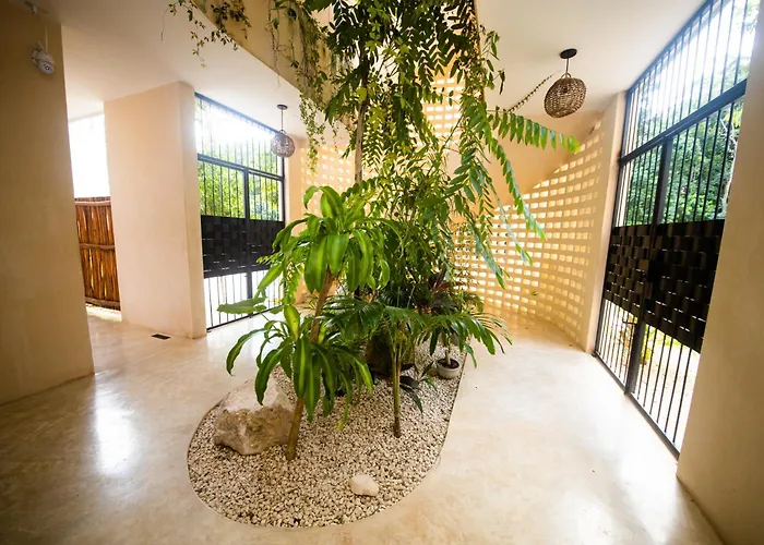 Tierra - Pool & Roof Panoramic